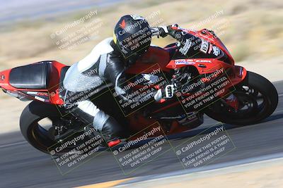 media/May-14-2023-SoCal Trackdays (Sun) [[024eb53b40]]/Turn 16 Inside (840am)/